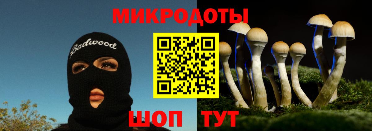 Галлюциногенные грибы мухоморы Малоярославец